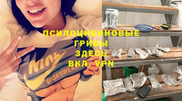 дмт Касимов
