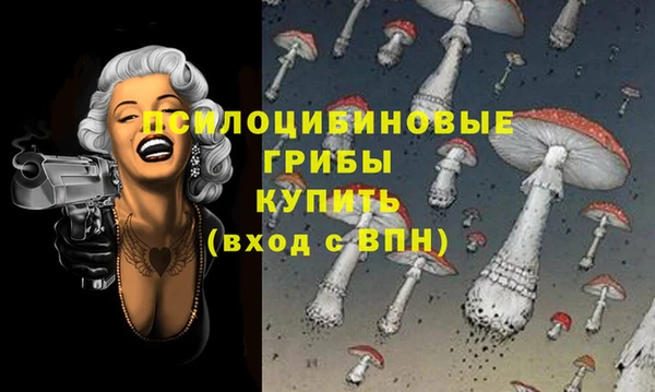 МДПВ Карталы