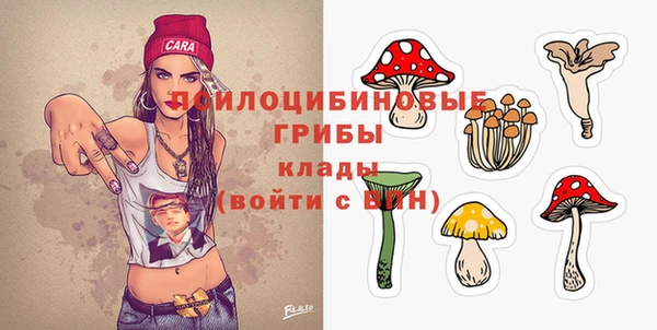 МДПВ Карталы