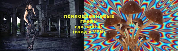 jwh Козельск