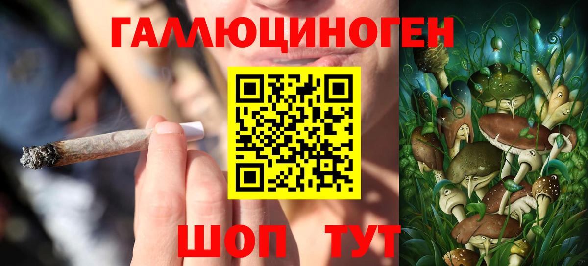 Псилоцибиновые грибы Magic Shrooms Кохма